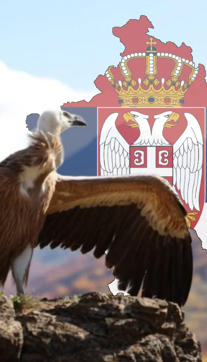 ВЕЛИЧАНСТВЕНО: Суп поново лети изнад КиМ (ФОТО/ВИДЕО)