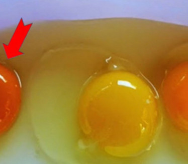 Po BOJI žumanceta pogoditi koje jaje sa slike je NAJZDRAVIJE