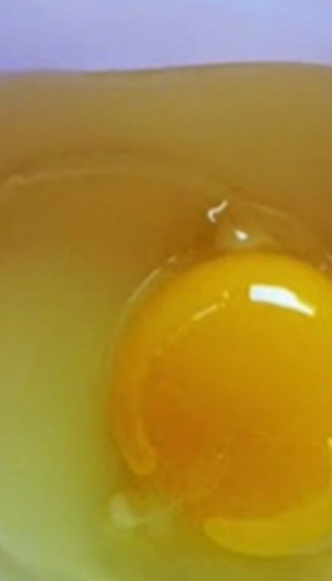 Po BOJI žumanceta pogoditi koje jaje sa slike je NAJZDRAVIJE