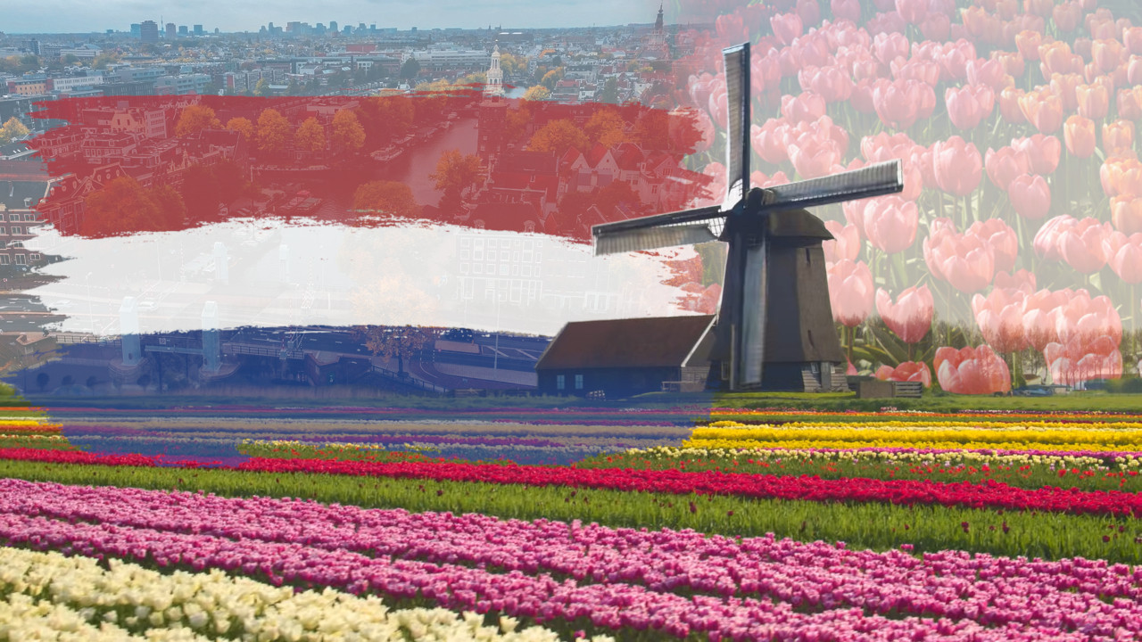 KAKO SE KAŽE-HOLANDIJA ILI NIZOZEMSKA Mnogi ne znaju razliku