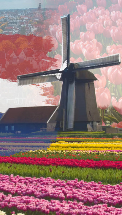 KAKO SE KAŽE-HOLANDIJA ILI NIZOZEMSKA Mnogi ne znaju razliku