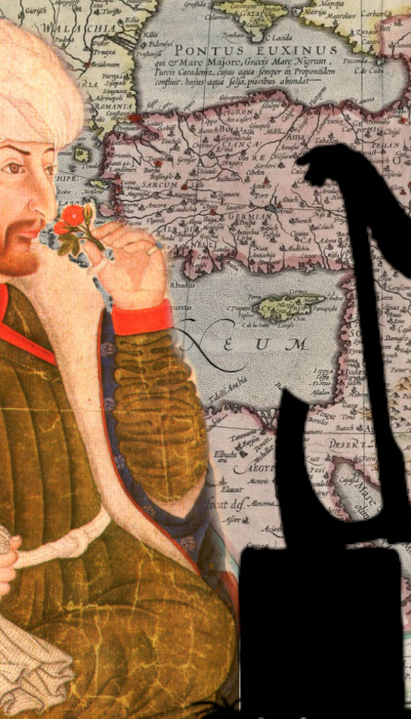 НАЈСУРОВИЈИ ОСМАНСКИ ЗАКОНИ Братоубиство, кавези и баштовани