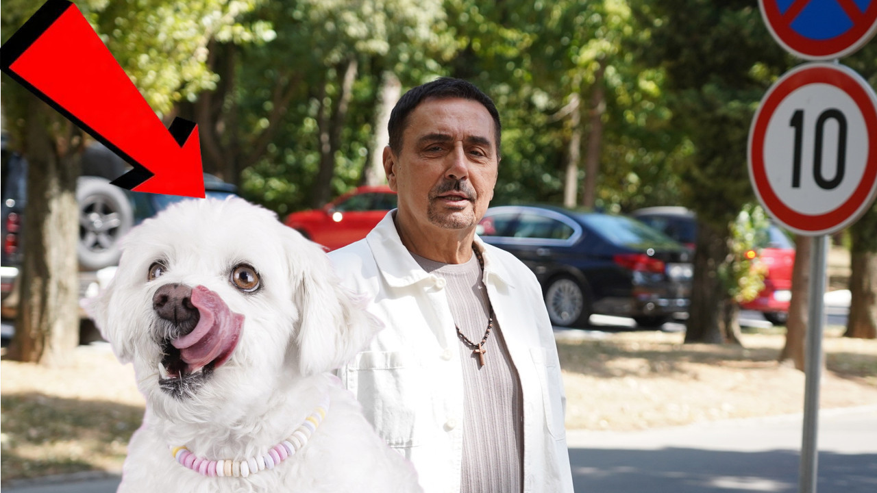 KEBU UJEO NJEGOV PAS "Povredio sam ga -zario je svoje zubiće"