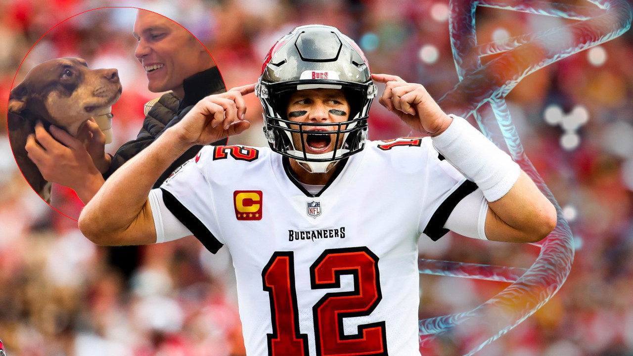 BREJDI KLONIRAO PSA Šokirao priznanjem-uzeli mu krv pre smrti