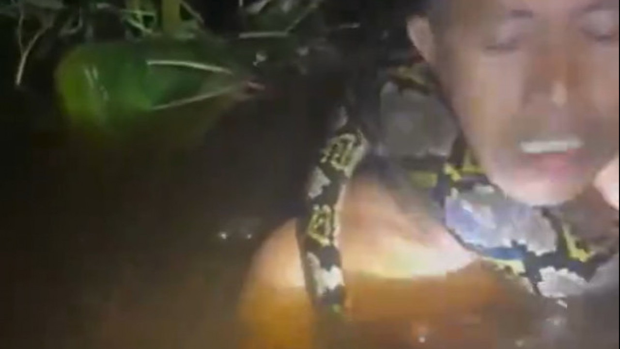 STRAVIČAN SNIMAK: DŽinovski piton mu se obmotao oko vrata