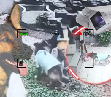 Имали вучјака, а онда су видели снимак са сигурносне камере