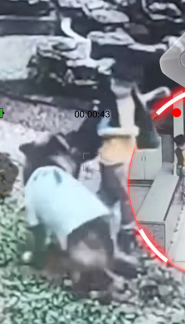 Imali vučjaka, a onda su videli snimak sa sigurnosne kamere