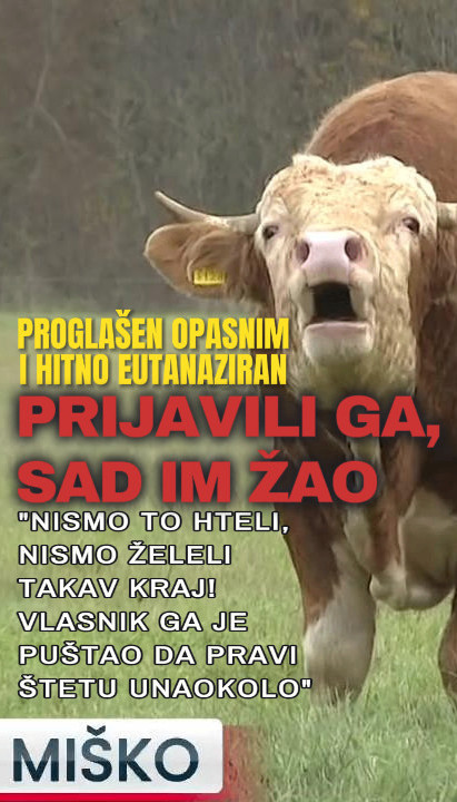 USMRĆEN BIK MIŠKO: Prijavili ga, sad im je žao (VIDEO)