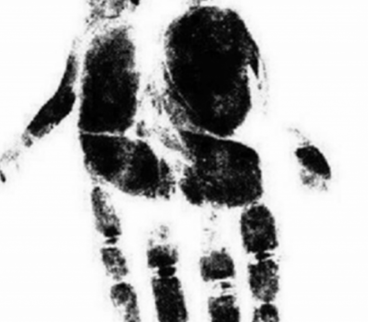 JESTE LI UŠTOGLJENI ILI OPUŠTENI? Šta prvo vidite na slici?