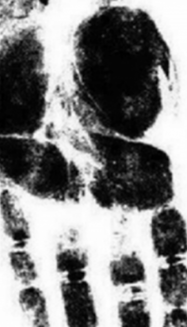 JESTE LI UŠTOGLJENI ILI OPUŠTENI? Šta prvo vidite na slici?