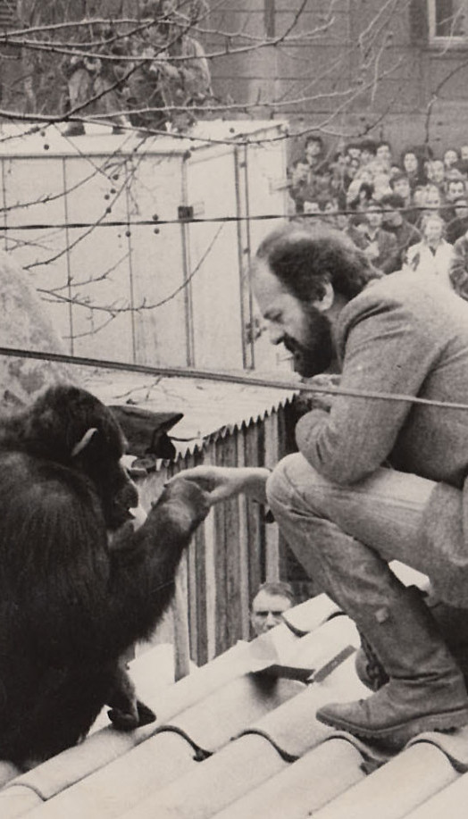 Мајмун Сами 2 пута бежао из врта, Бојовић учинио незамисливо