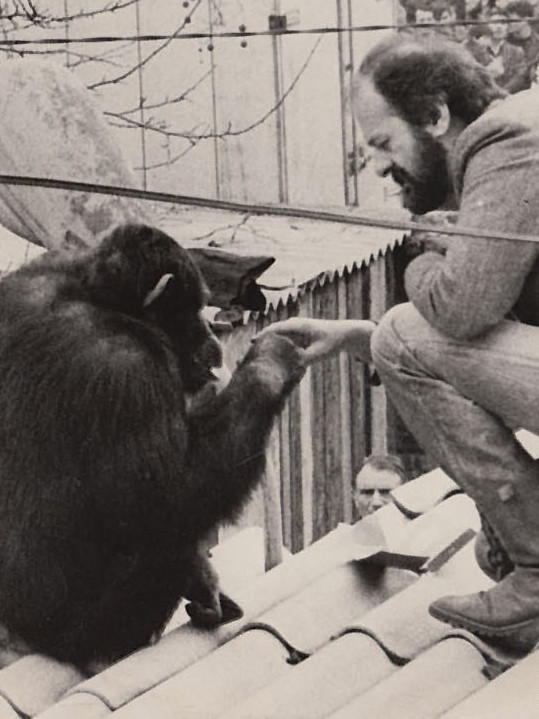 Мајмун Сами 2 пута бежао из врта, Бојовић учинио незамисливо