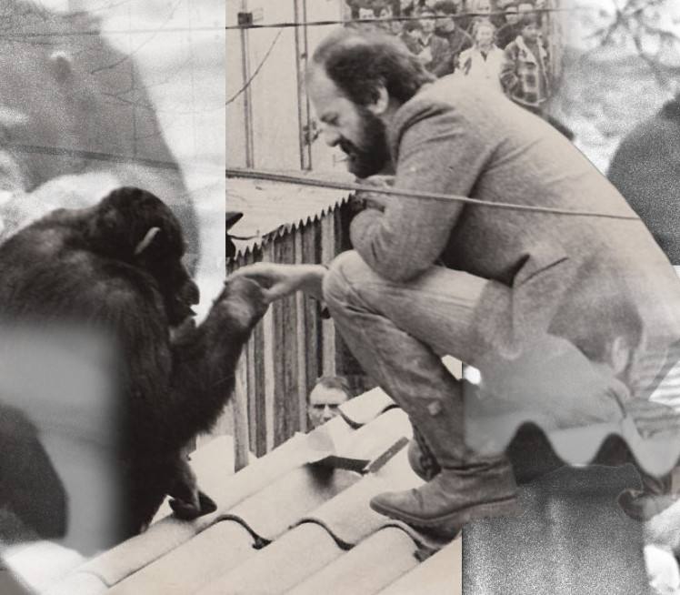 Мајмун Сами 2 пута бежао из врта, Бојовић учинио незамисливо