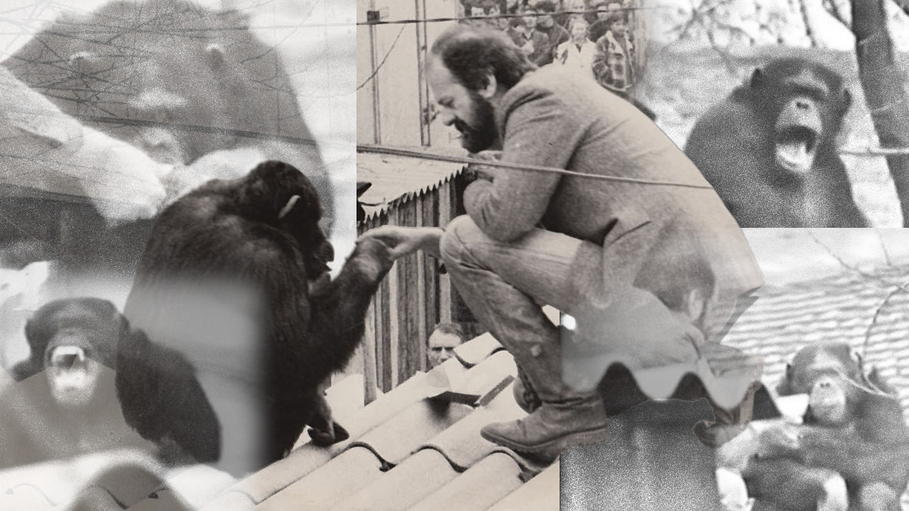 Majmun Sami 2 puta bežao iz vrta, Bojović učinio nezamislivo