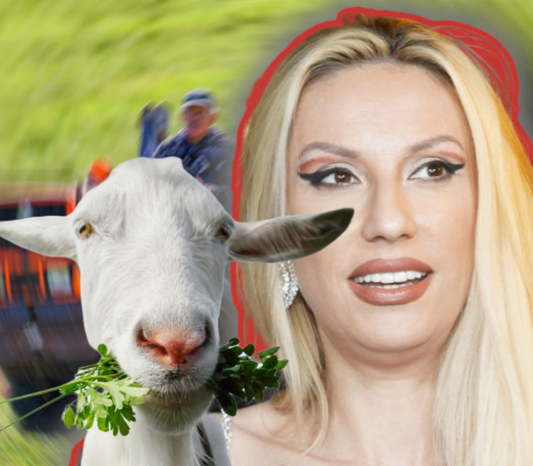 U "GOAT" MODU: Zašto Rada Manojlović kupuje koze?