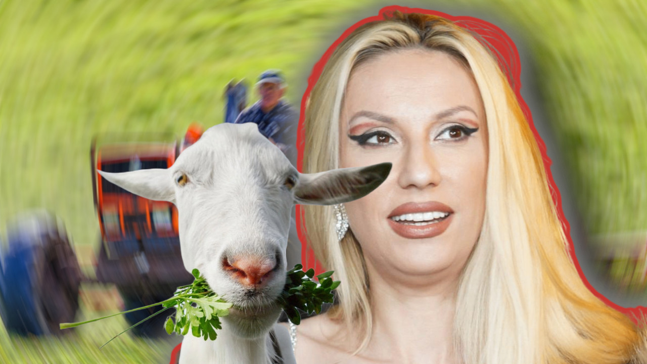 У "ГОАТ" МОДУ: Зашто Рада Манојловић купује козе?
