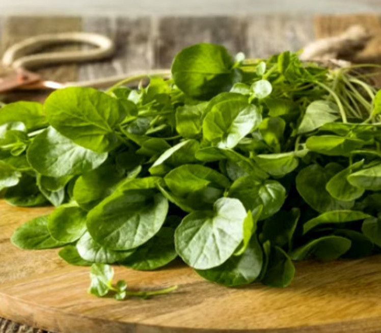 Најздравија биљка на свету, а нико је НЕ ЈЕДЕ