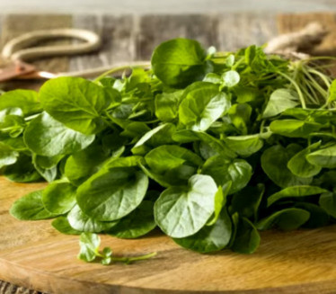 Najzdravija biljka na svetu, a niko je NE JEDE