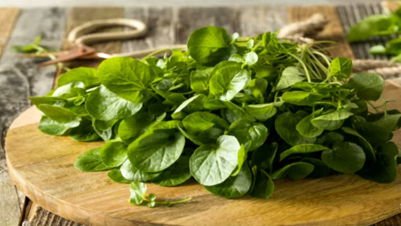 Најздравија биљка на свету, а нико је НЕ ЈЕДЕ