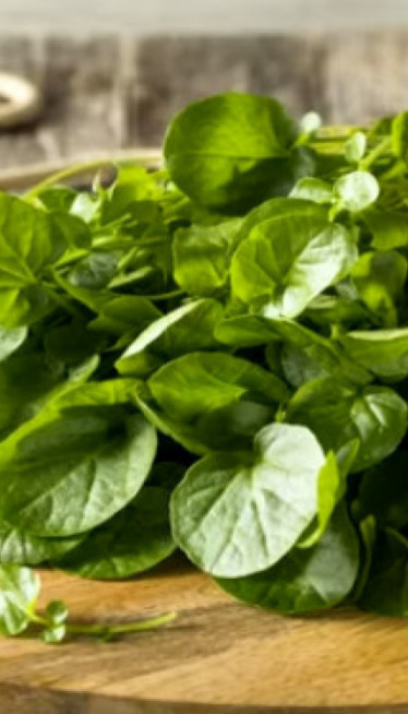 Најздравија биљка на свету, а нико је НЕ ЈЕДЕ