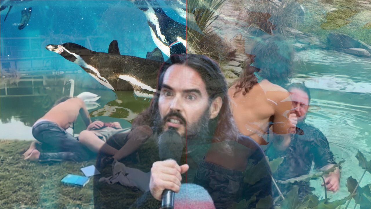 "KRŠTENJE" U ZOO-VRTU Slavni glumac obavio obred kod pingvina