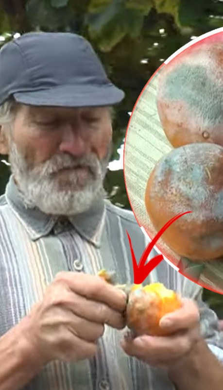 МИЛУТИН ЈЕДЕ САМО ТРУЛУ ХРАНУ: "Никад се нисам разболео!"