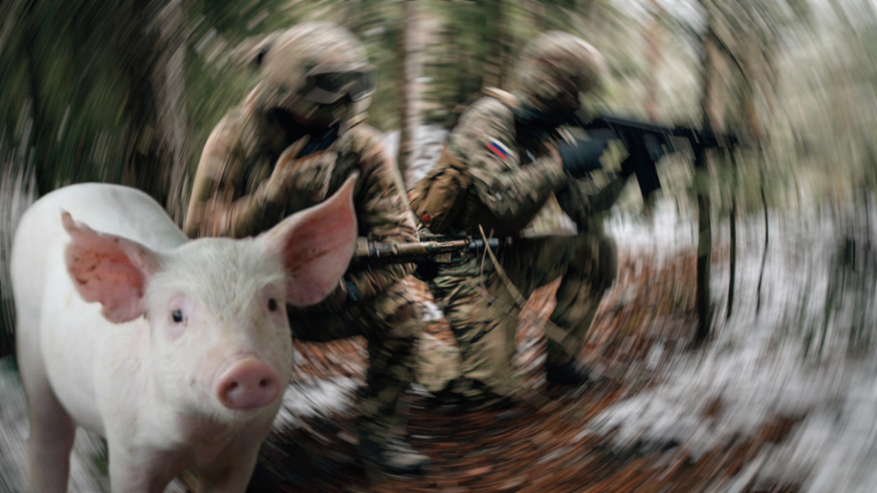 РУСЕ ОД СМРТИ СПАСИЛА - СВИЊА: Погледајте драматичан снимак