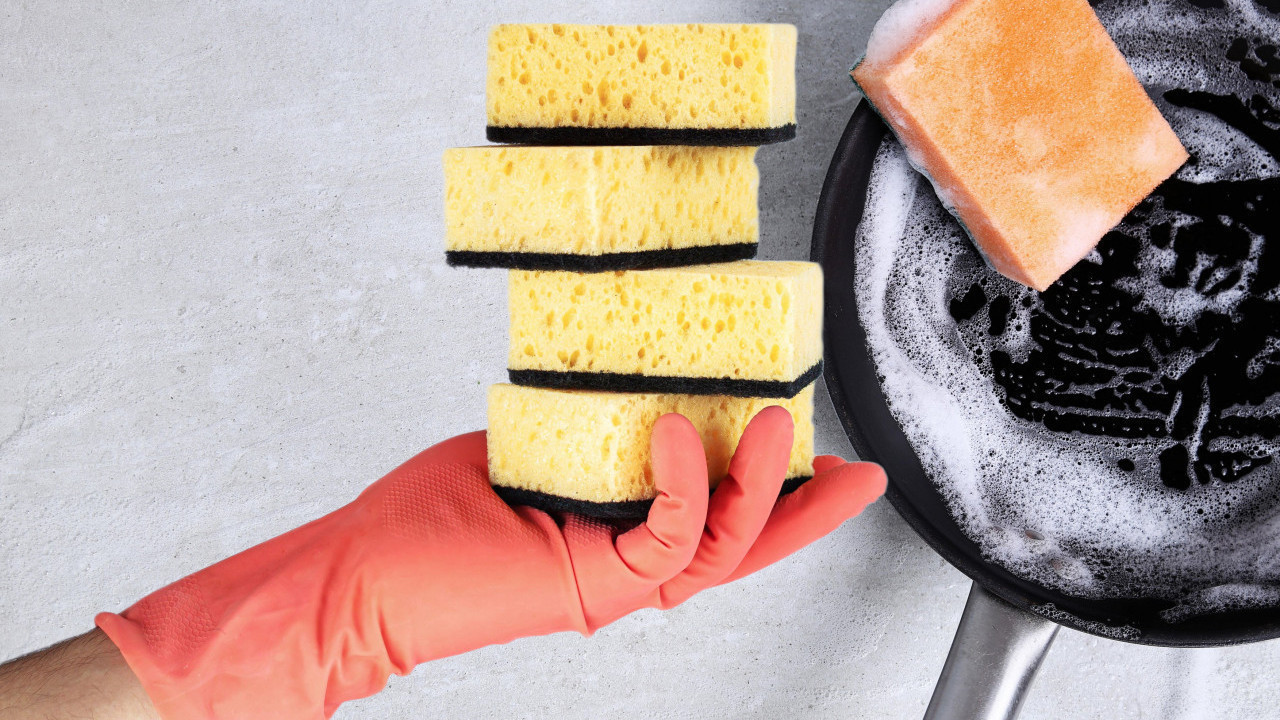 ЛЕГЛО БАКТЕРИЈА Колико често треба мењати кухињски сунђер?