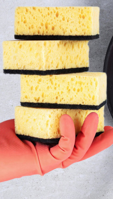 LEGLO BAKTERIJA Koliko često treba menjati kuhinjski sunđer?