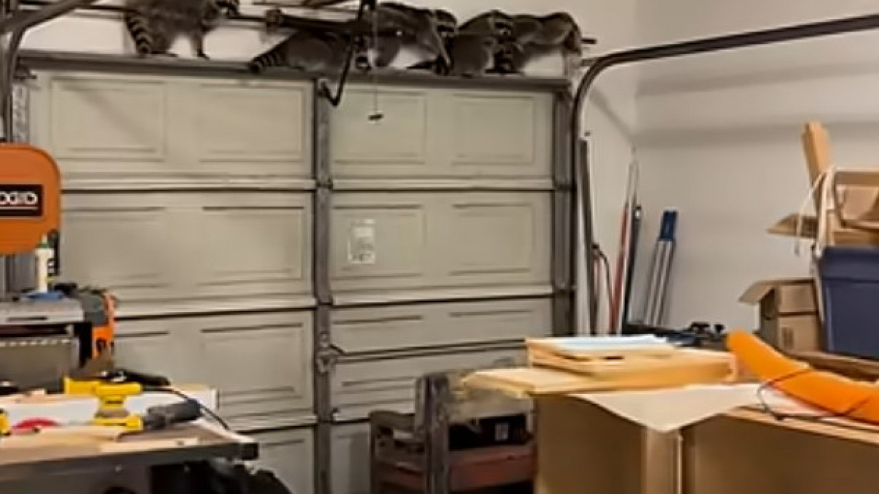 ЧУЛА ЧУДНЕ ЗВУКОВЕ ИЗ ГАРАЖЕ: Неверица ШТА је затекла унутра