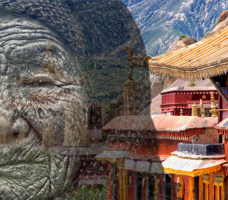 KRENULI NA KREMACIJU, A ŽENA ŽIVA! Iz kovčega se čulo kucanje