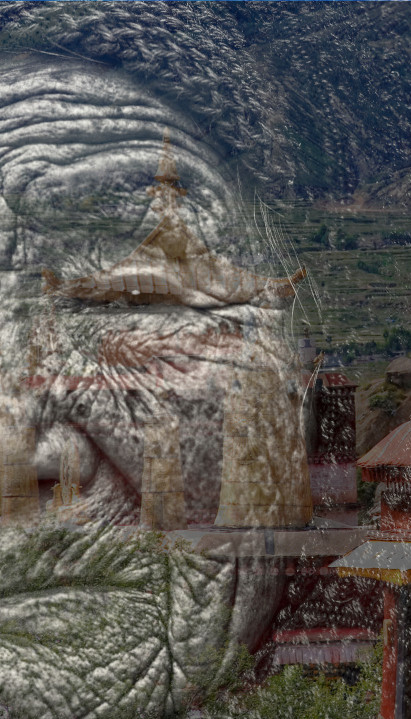 КРЕНУЛИ НА КРЕМАЦИЈУ, А ЖЕНА ЖИВА! Из ковчега се чуло куцање