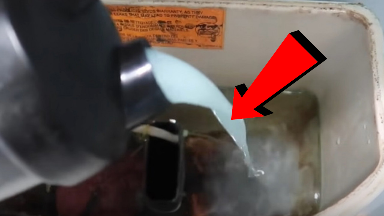 КОРИСНО: Сипај омекшивач у водокотлић - ево шта ће се десити