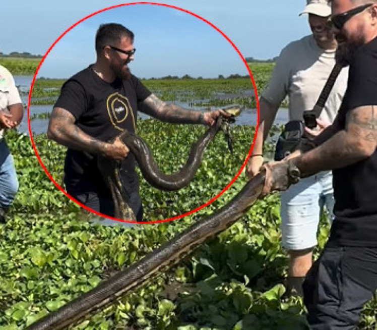 Hrvat "zabranjen" zbog ANAKONDE: "Video i istina ostaju!"