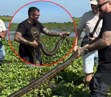 Hrvat "zabranjen" zbog ANAKONDE: "Video i istina ostaju!"