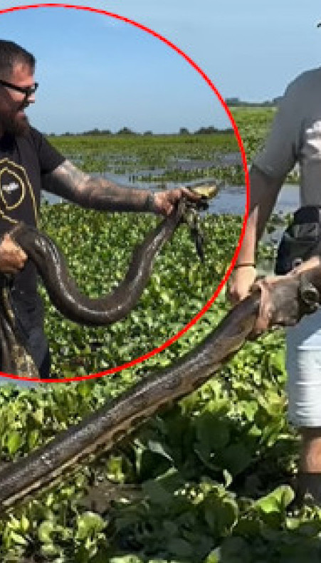 Hrvat "zabranjen" zbog ANAKONDE: "Video i istina ostaju!"