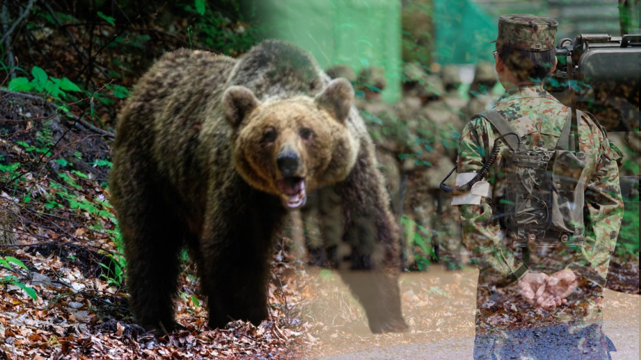 НОВИ НАПАД МЕДВЕДА: Држава нема решења-објавила рат зверима!