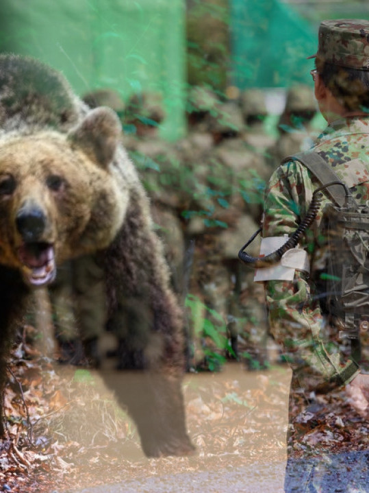 НОВИ НАПАД МЕДВЕДА: Држава нема решења-објавила рат зверима!