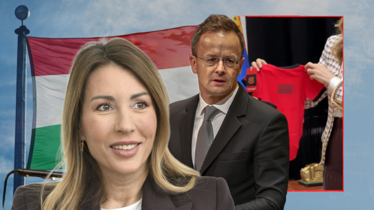 KRILA MESECIMA: Slučajno OTKRIO IME bebe Đedović Handanović