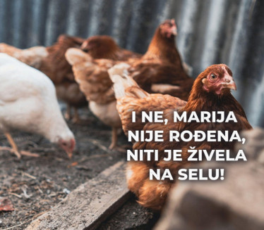 MARIJA IH JE DOBILA 4 miliona€ za odovor "šta misle kokoške"
