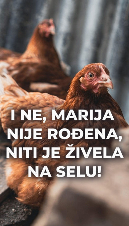 MARIJA IH JE DOBILA 4 miliona€ za odovor "šta misle kokoške"