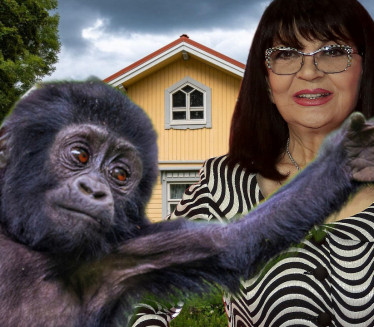 МАЈМУН ИЗВРШИО САМОУБИСТВО: Надин љубимац трагично завршио