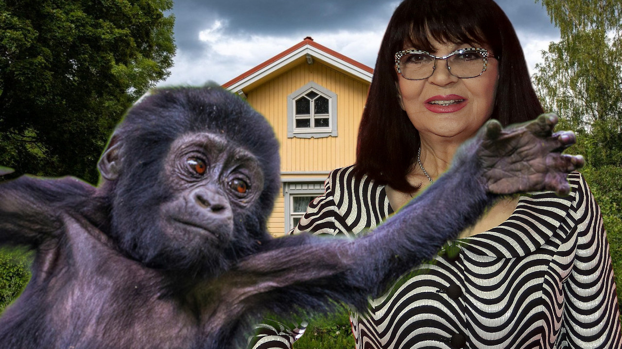 МАЈМУН ИЗВРШИО САМОУБИСТВО: Надин љубимац трагично завршио