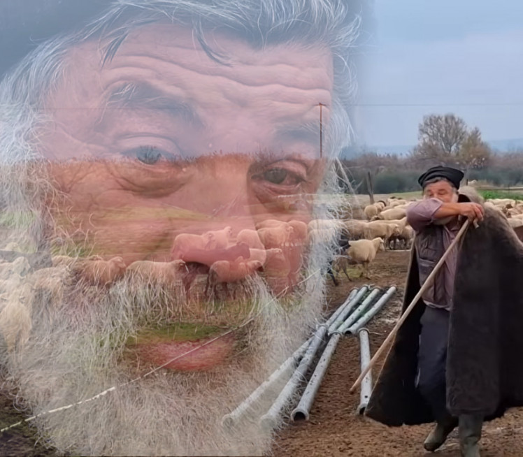 POTRESAN SNIMAK Stočar se oprašta od 450 ovaca