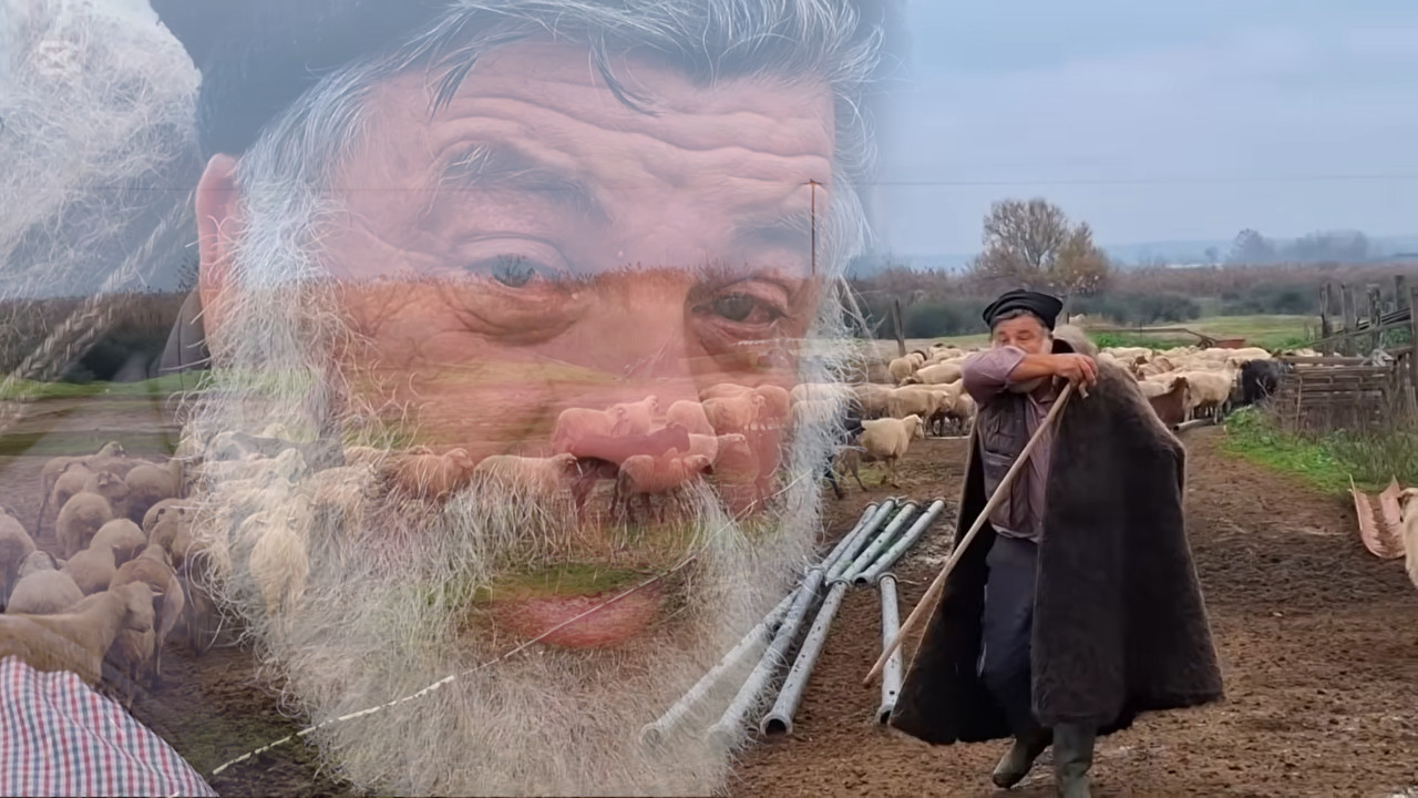 POTRESAN SNIMAK Stočar se oprašta od 450 ovaca