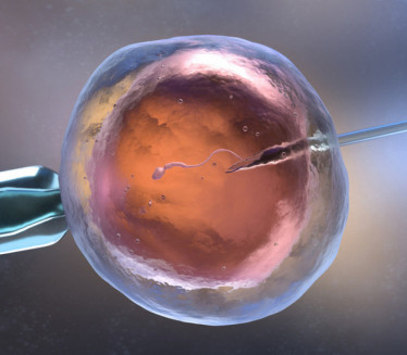 ОКО 200 ДЕЦЕ Донирао семе с геном који повећава ризик за рак