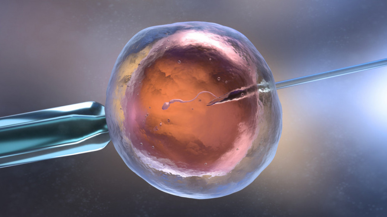 ОКО 200 ДЕЦЕ Донирао семе с геном који повећава ризик за рак