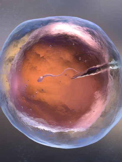 ОКО 200 ДЕЦЕ Донирао семе с геном који повећава ризик за рак