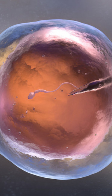 ОКО 200 ДЕЦЕ Донирао семе с геном који повећава ризик за рак