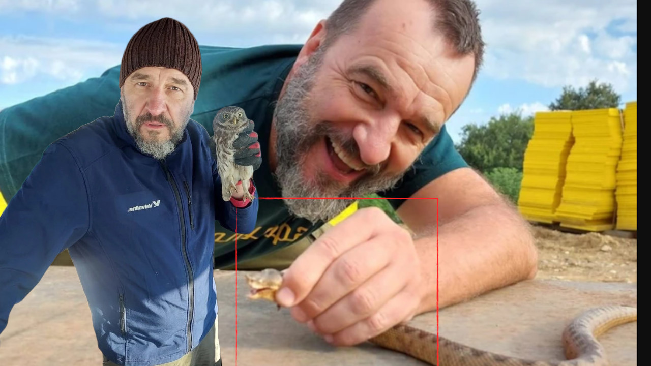 ДРЖИ ЗМИЈУ У РУЦИ: Јездић показао имање у селу код Ваљева